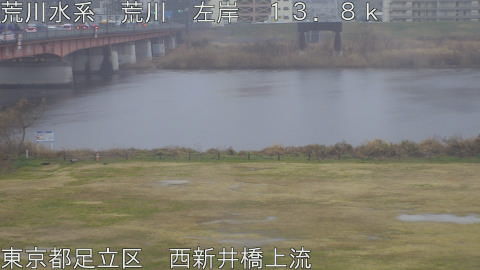 arani2026022509_image