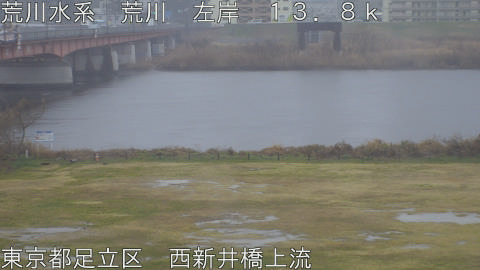 arani2026022512_image