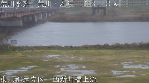 arani2026022513_image