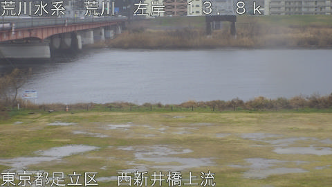 arani2026022514_image