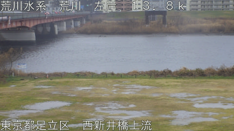 arani2026022515_image