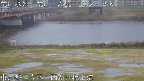 arani2026022516_image