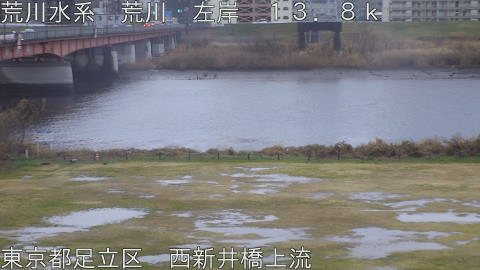 arani2026022517_image