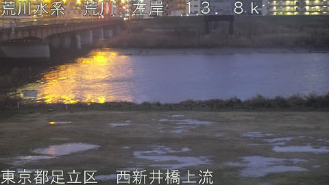 arani2026022518_image