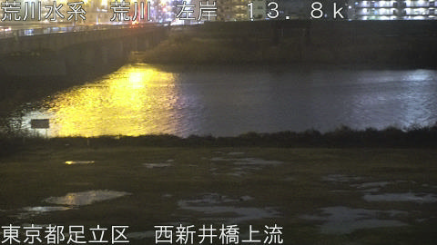 arani2026022519_image