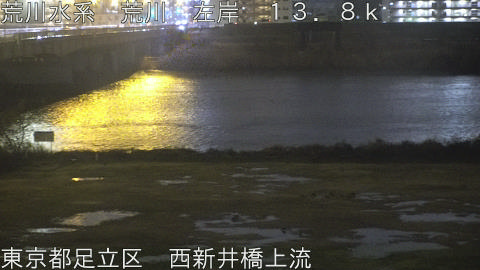 arani2026022520_image