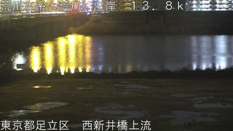 arani2026022601_image