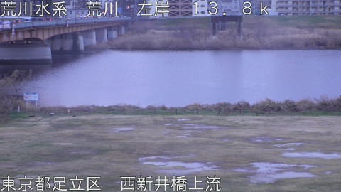 arani2026022607_image