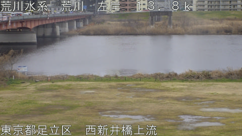 arani2026022610_image