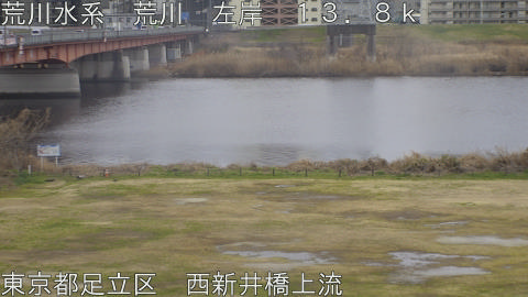 arani2026022611_image