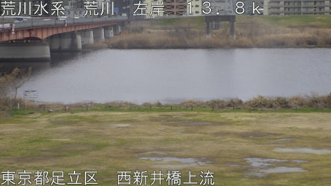 arani2026022612_image