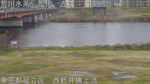 arani2026022613_image