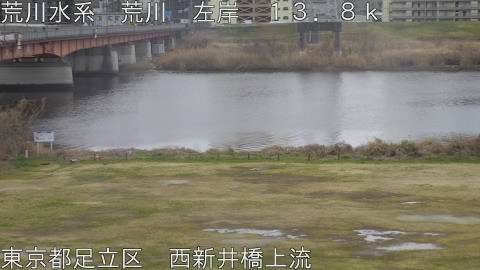 arani2026022614_image