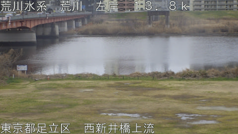 arani2026022615_image