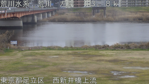 arani2026022616_image