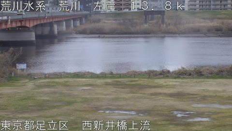 arani2026022617_image