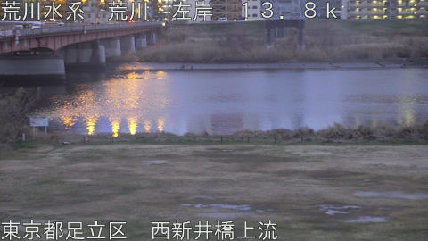 arani2026022618_image