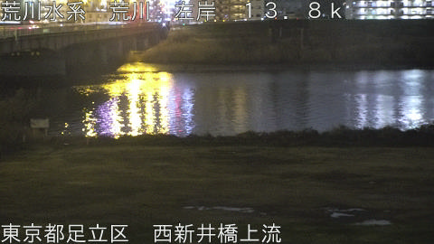 arani2026022619_image