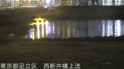 arani2026022620_image