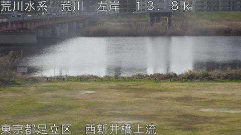 arani2026022709_image