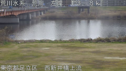 arani2026022713_image