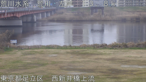 arani2026022807_image