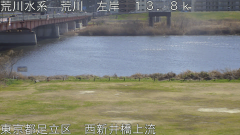 arani2026022813_image