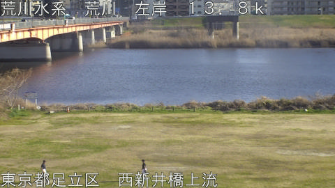 arani2026022816_image