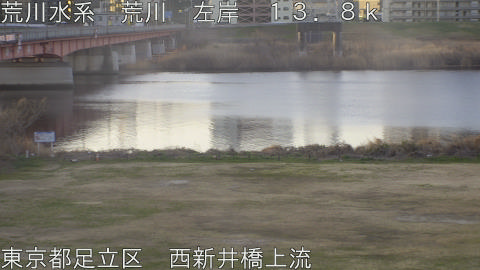 arani2026030107_image