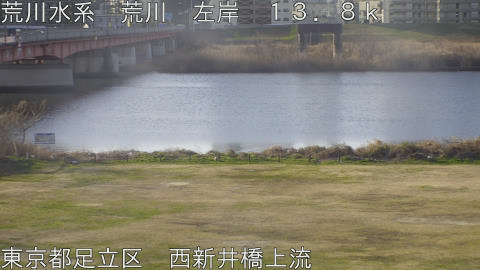 arani2026030108_image