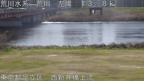 arani2026030111_image