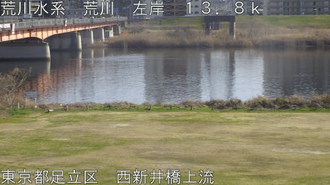 arani2026030115_image