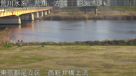 arani2026030117_image