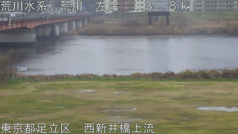 arani2026030311_image