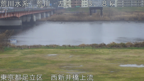 arani2026030312_image