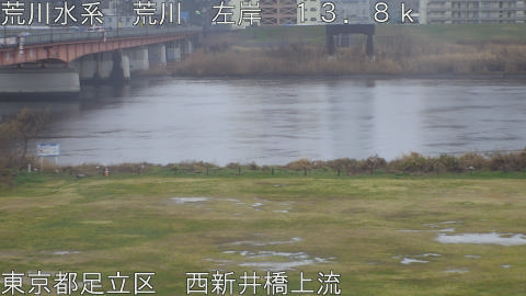 arani2026030315_image