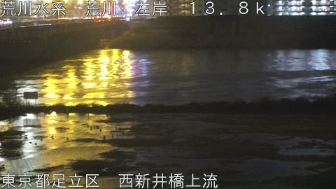 arani2026030405_image