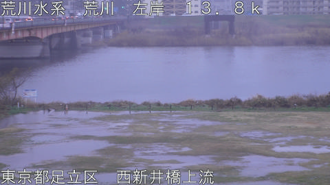 arani2026030407_image