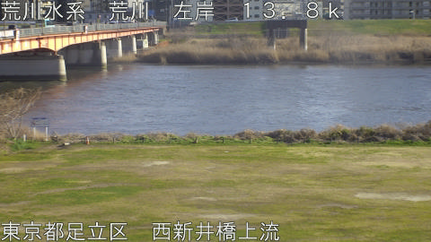 arani2026030516_image