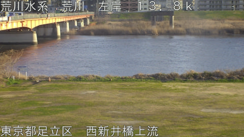 arani2026030517_image