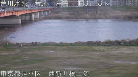 arani2026030518_image