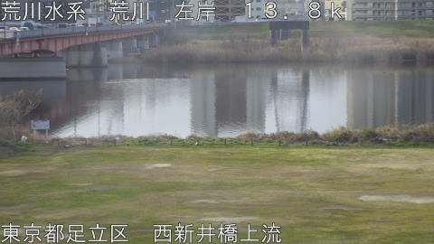 arani2026030608_image