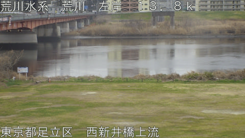 arani2026030611_image