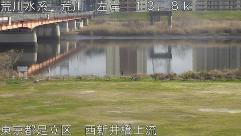 arani2026030615_image