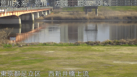 arani2026030616_image