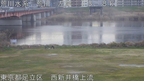 arani2026030707_image