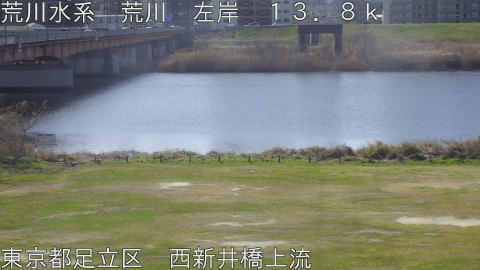 arani2026030710_image