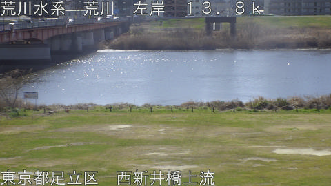 arani2026030711_image