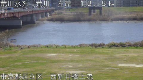 arani2026030713_image