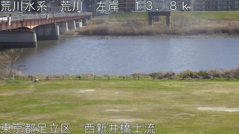 arani2026030714_image